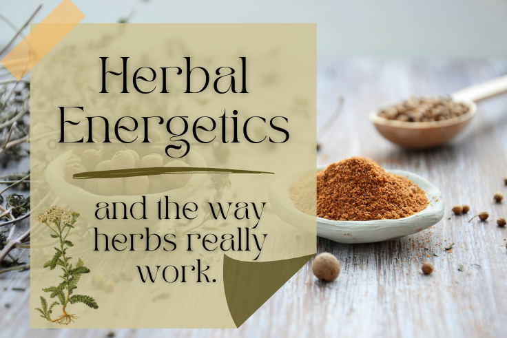 Herbal Energetics And The Way Herbs Really Work